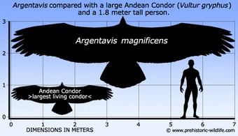 Argentavis Prehistoric Life Wiki Fandom