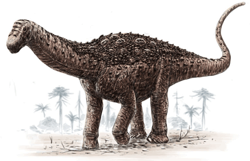saltasaurus fossil