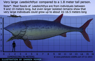 Top 10 Prehistoric Fish | Prehistoric Life Wiki | Fandom