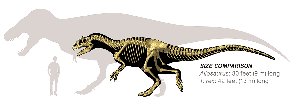 tyrannosaurus and allosaurus