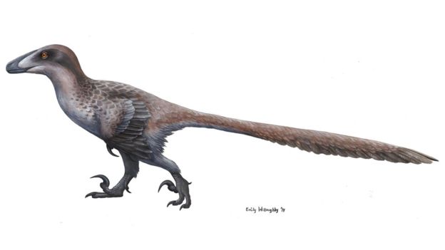 true velociraptor