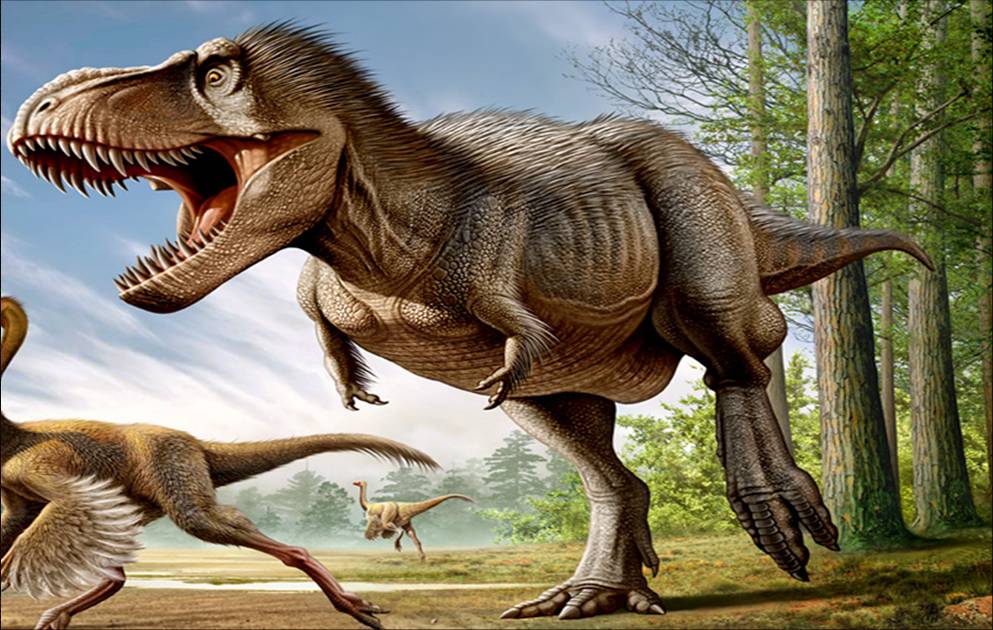 Tyrannosaurus | Prehistoric Life Wiki | Fandom