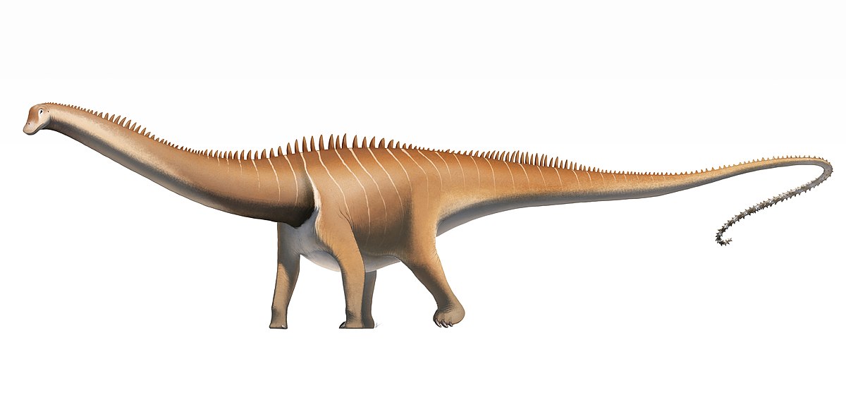 diplodocus and brontosaurus