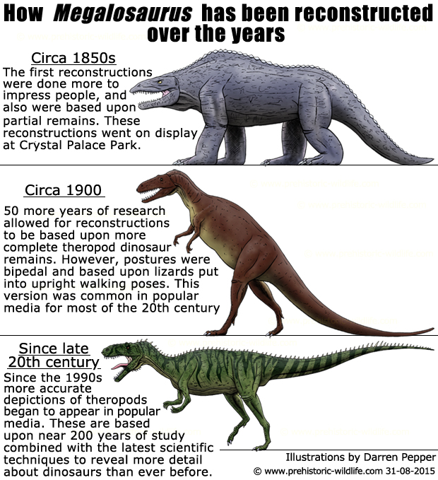 megalosaurus fossil