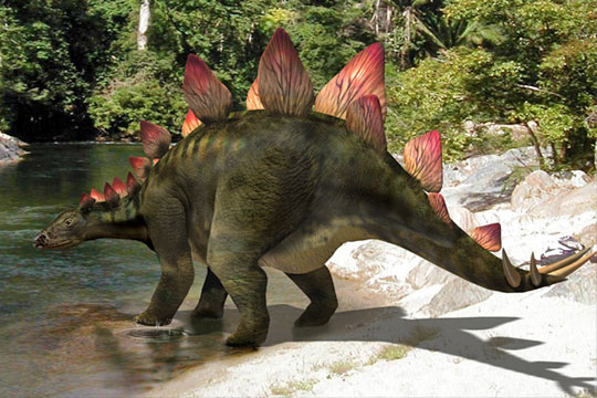 bellzi stegosaurus