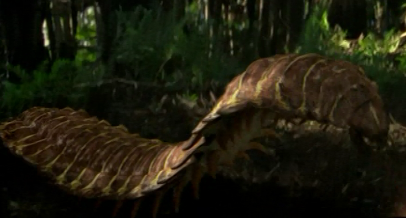 Arthropleura | Prehistoric Park Wiki | FANDOM powered by Wikia