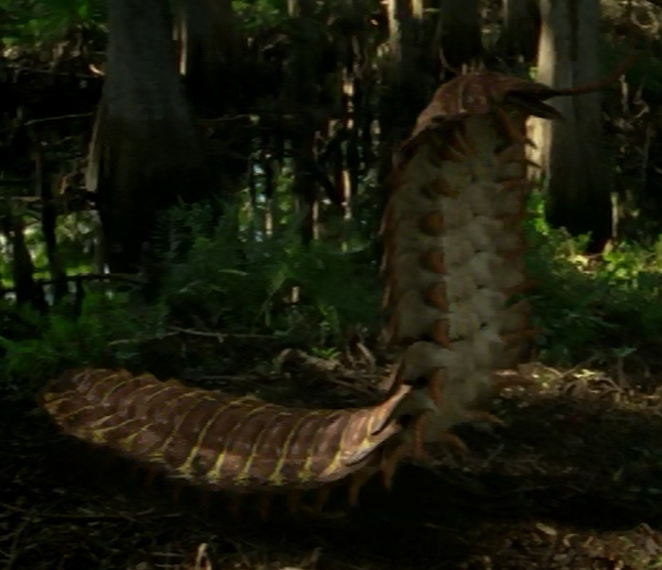 Arthropleura | Prehistoric Park Wiki | FANDOM powered by Wikia
