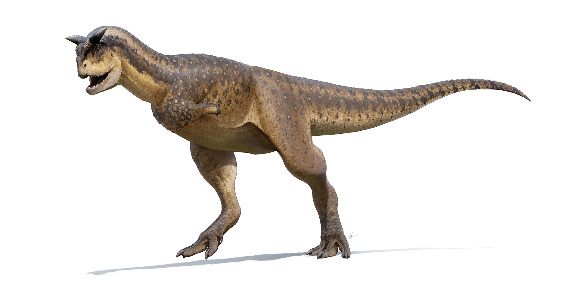prehistoric world carnotaurus