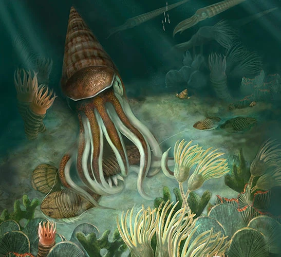 Ordovician Prehistoric World And Monsters Wiki Fandom