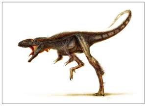 Raptorex
