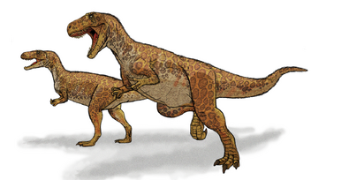 Megalosaurus new
