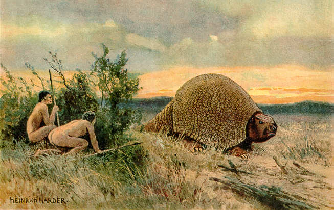 glyptodon prehistoric earth wiki fandom powered by wikia glyptodon size