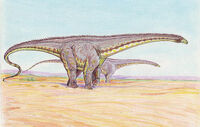 Diplodocus3