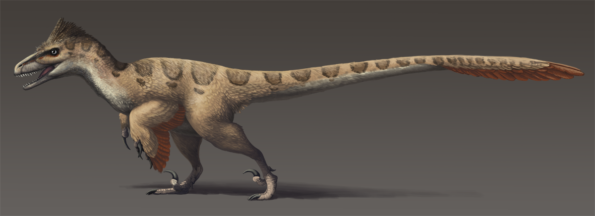 utahraptor with feathers