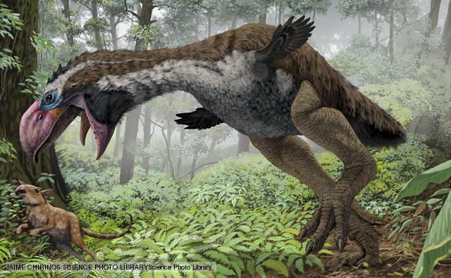 Gastornis | Prehistoric Earth Wiki | Fandom