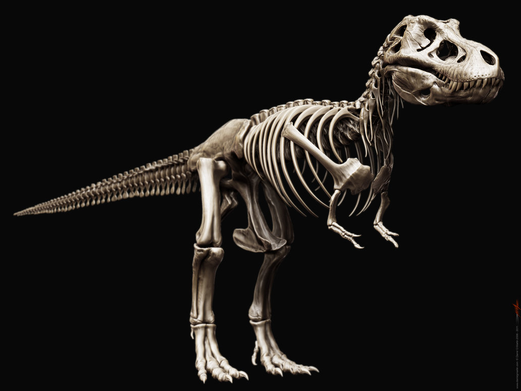 giant skeleton dinosaur