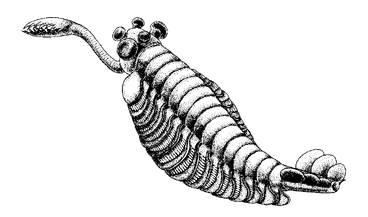 Opabinia eberly college illustration