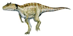 Aerosteon