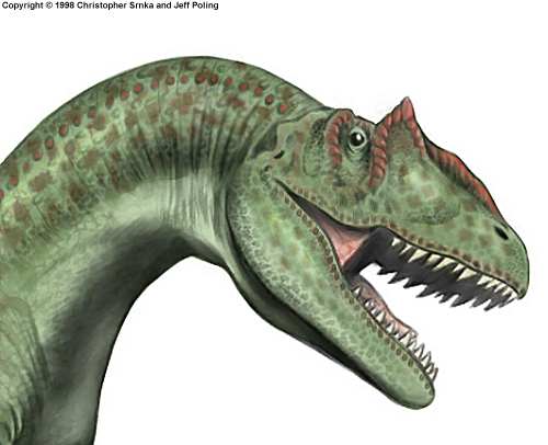 allosaurus prehistoric kingdom allosaurus prehistoric kingdom
