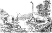Diplodocus4