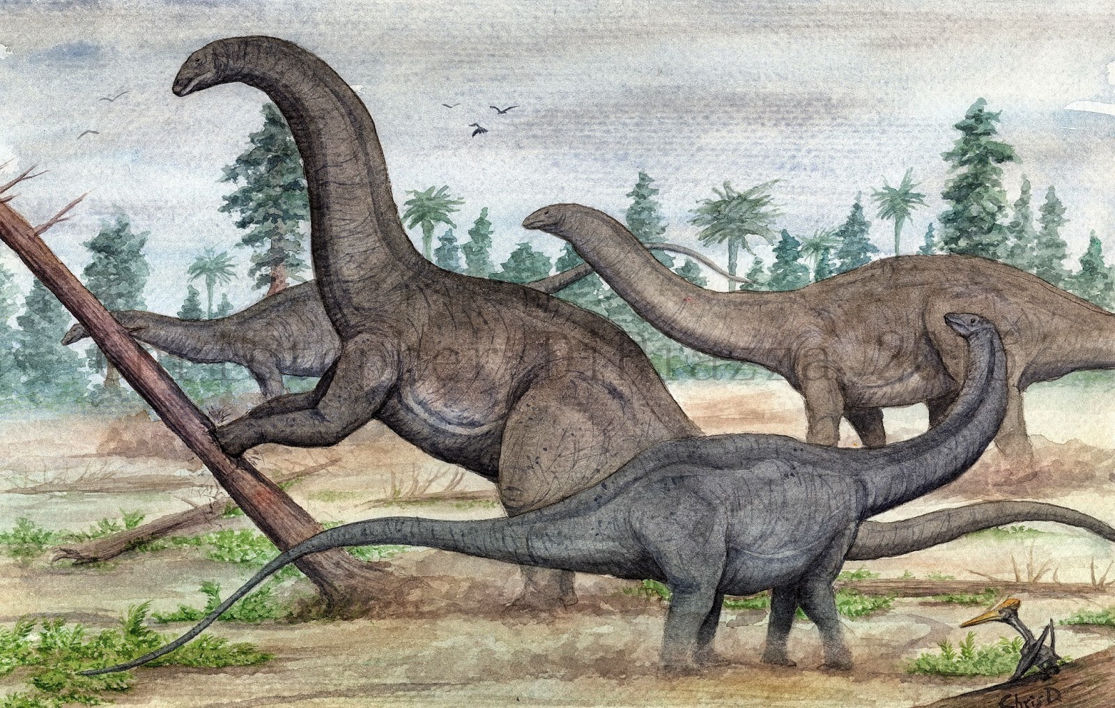 brontosaurus with feathers