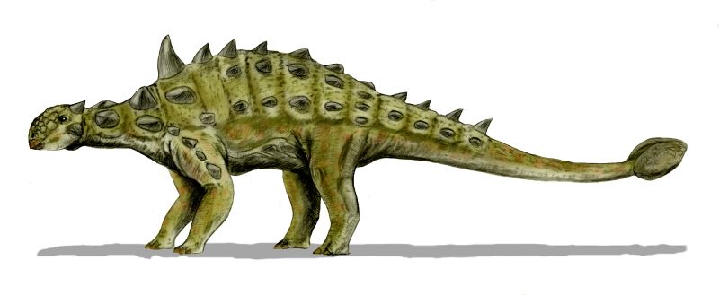 euoplocephalus fossil