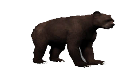 Arctodus