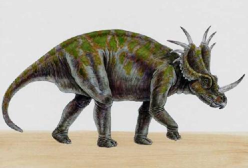 dinosaur with two horns and spikes