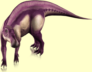 Maiasaura nagoya-1-