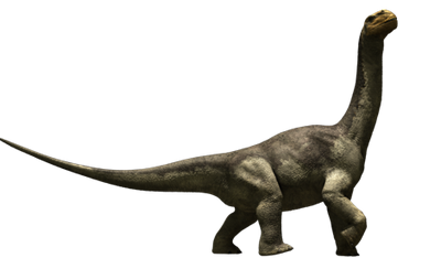 Camarasaurus-1-