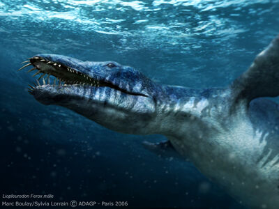 Liopleurodon | Prehistoric Monsters Wiki | FANDOM powered by Wikia