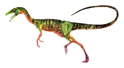 procompsognathus prehistoric monsters wiki