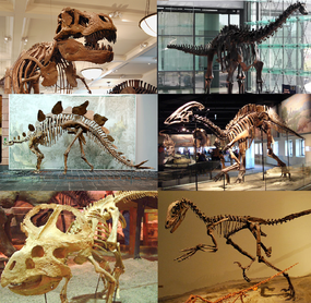 285px-Various dinosaurs-1-