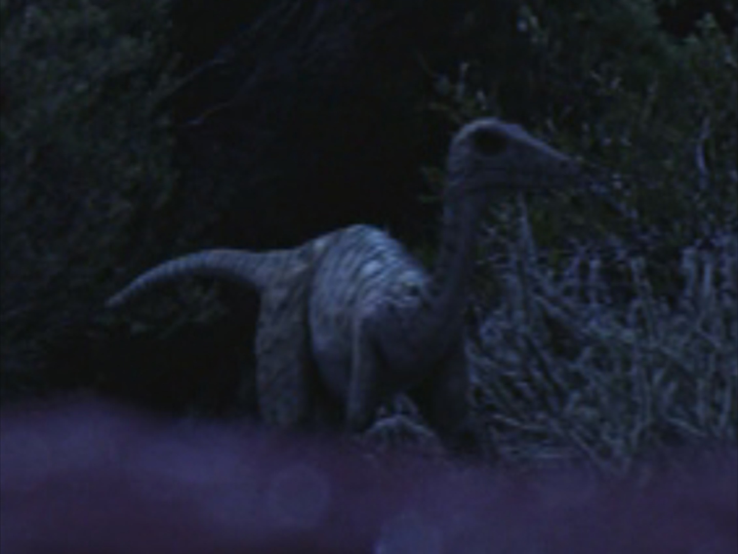 troodon planet dinosaur