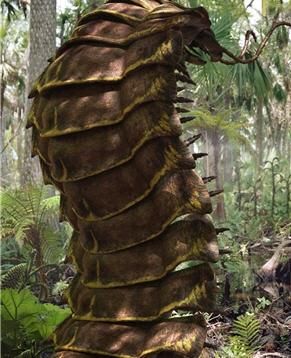 Arthropleura | Prehistoric Park Wiki | FANDOM powered by Wikia