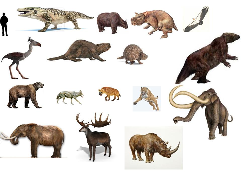 Pleistocene Epoch Prehistoric Life Wiki FANDOM Powered By Wikia pleistocene-epoch-prehistoric-life-wiki-fandom-powered-by-wikia