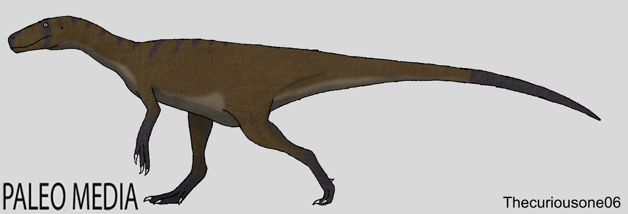 jwe herrerasaurus