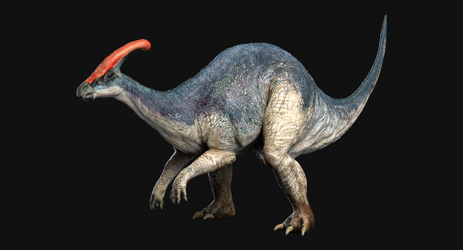 accurate parasaurolophus