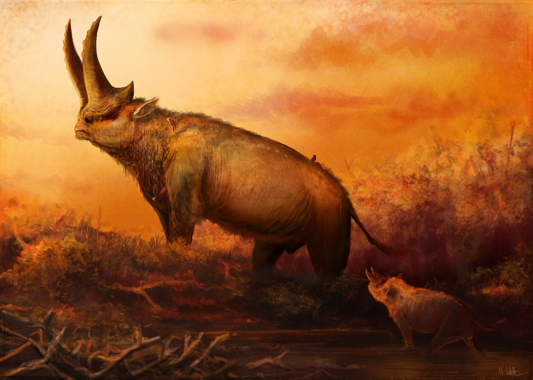 Arsinoitherium Paleo Media Wiki Fandom
