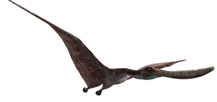 pterodaustro