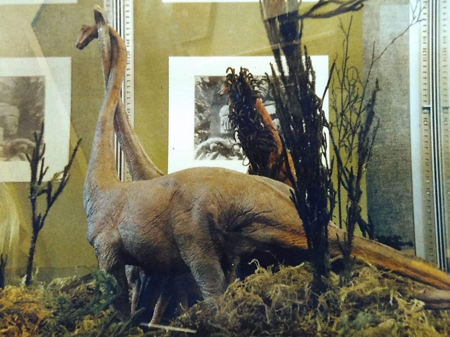 brontosaurus with feathers