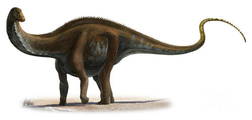 apatosaurus jurassic world fallen kingdom