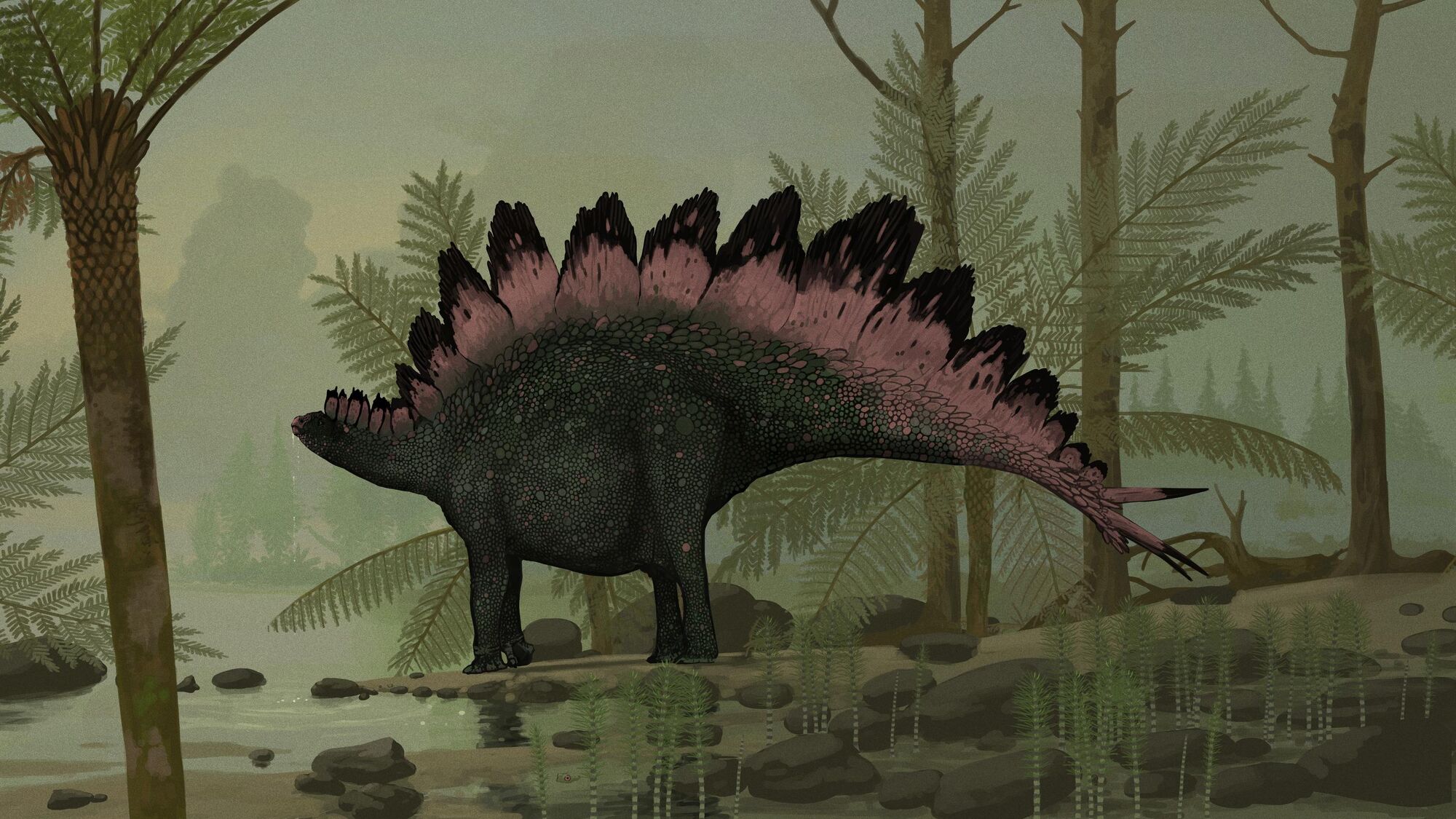 Stegosaurus | Prehistory Revealed Wiki | Fandom