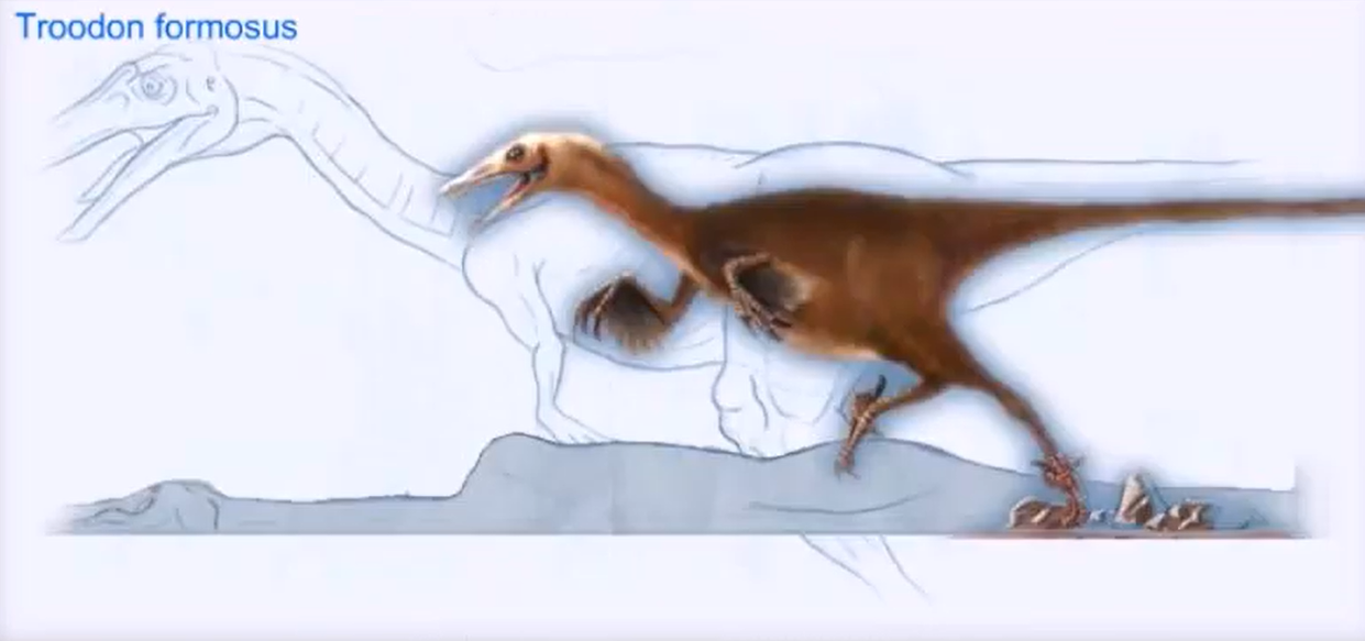 troodon dino dan
