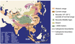 Historical tiger distribution PLoS 2009