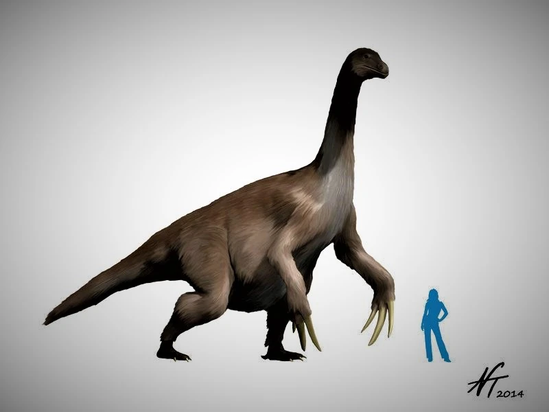 Therizinosaurus Wiki Prehistórico Fandom