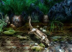 070316 mammal hmed 5p