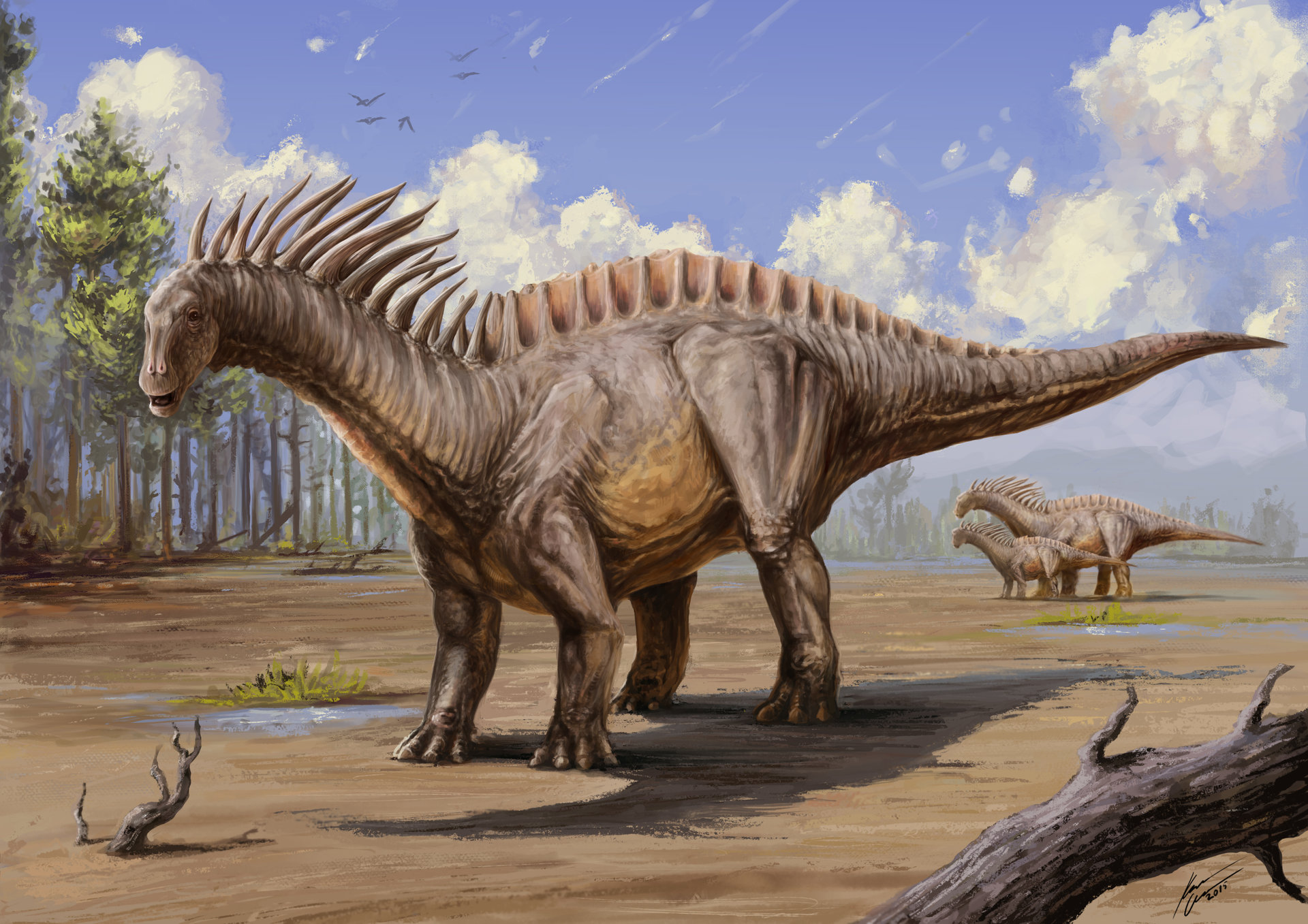 Resultado de imagen para Amargasaurus (Amargasaurus Cazaui)