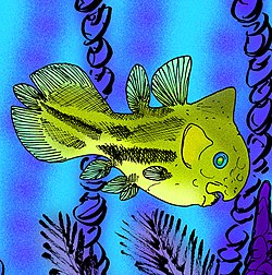 Foreyia maxkuhni