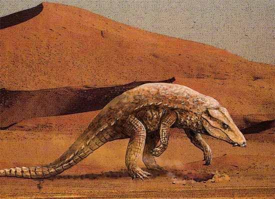 Armadillosuchus | Wiki Prehistórico | Fandom